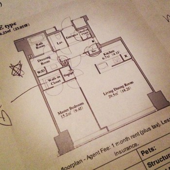 208273_10152441239740389_1917678493_n