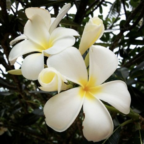 bZ_t7cmg5Dehc1aXBMLbP5tBO6Qc10oOzp6OIiGBKKA