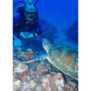 turtle saipan